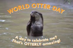 World Otter Day